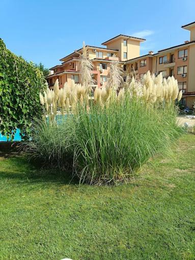 Magic Dreams Apartments Sveti Vlas Exterior foto
